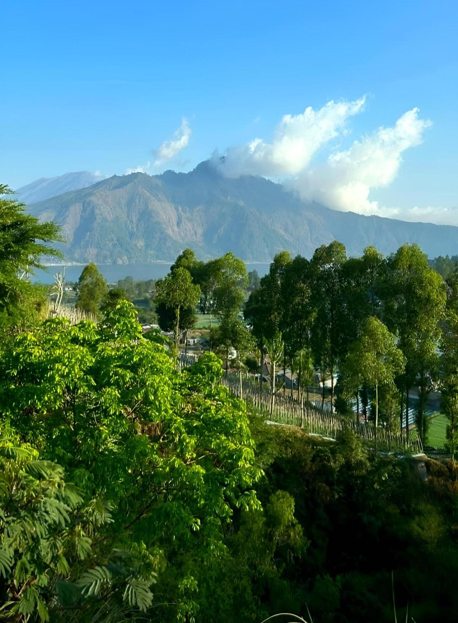 לינה וארוחת בוקר Kubupenlokan Hillside Bali מראה חיצוני תמונה
